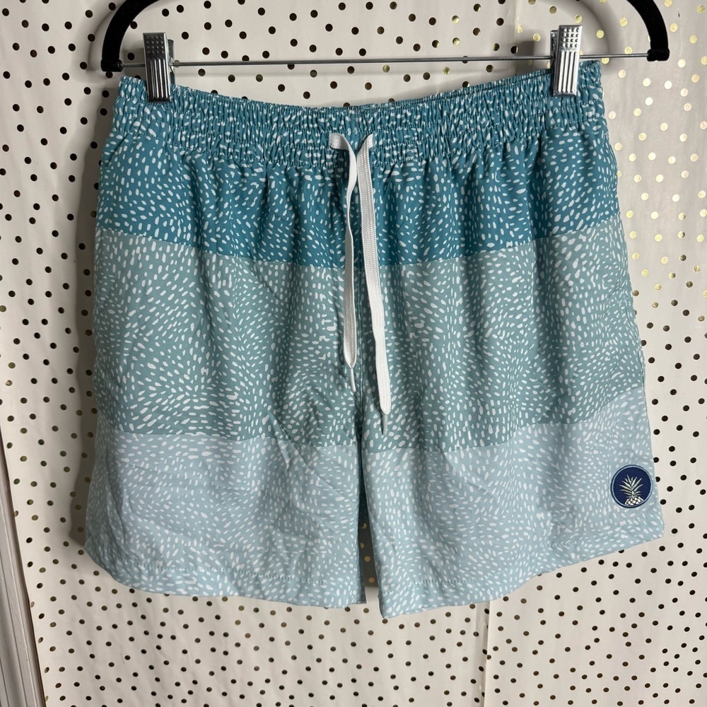 Chubbies Blue Patterned Shorts - image 2